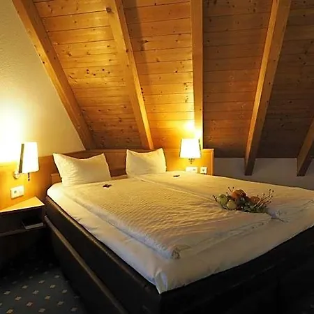 Hotel Adler Ulm
