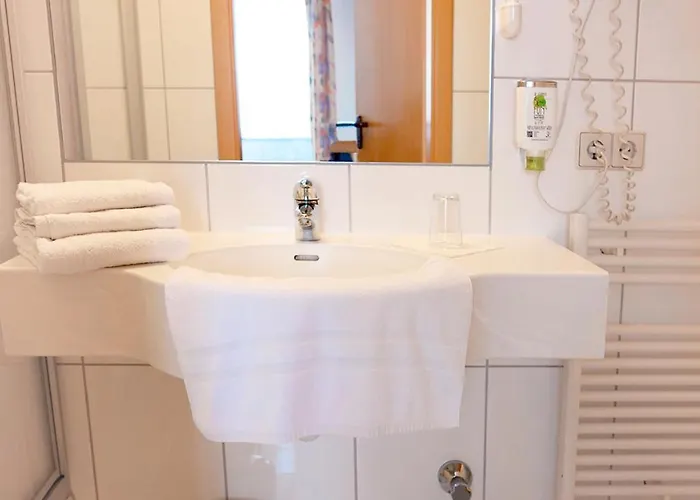 酒店 阿德尔酒店 乌尔姆