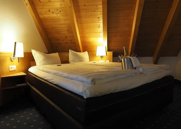 酒店 阿德尔酒店 3*