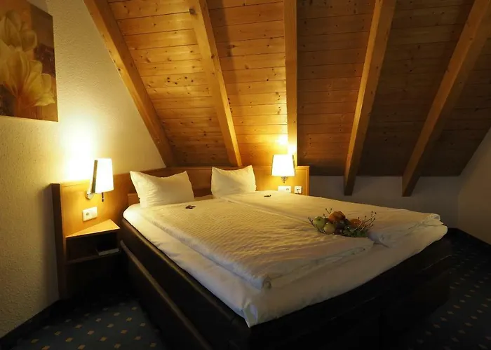 阿德尔酒店 酒店 3*